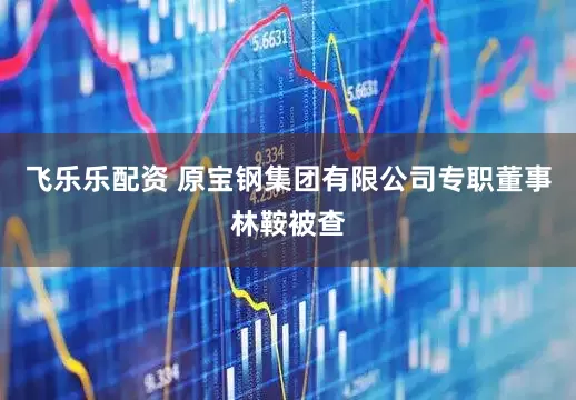 飞乐乐配资 原宝钢集团有限公司专职董事林鞍被查