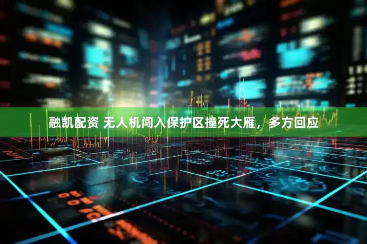 融凯配资 无人机闯入保护区撞死大雁，多方回应