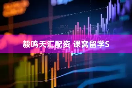 毅鸣天汇配资 课窝留学S