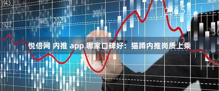 悦倍网 内推 app 哪家口碑好:猫蹲内推岗质上乘